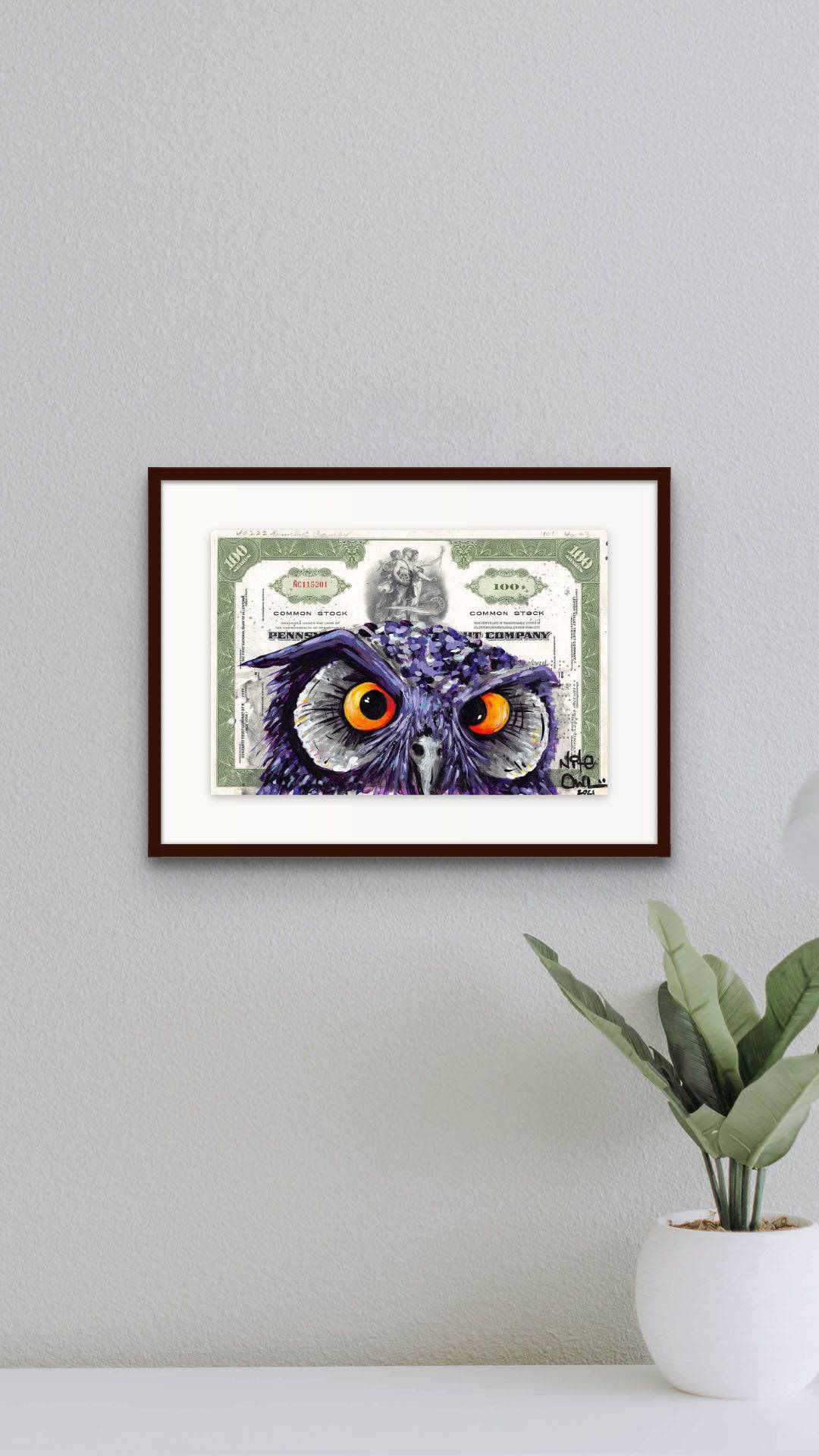 The Stare by Nite Owl - Signature Fine Art